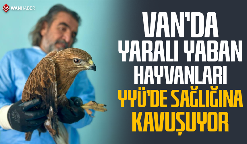 Van'da yaralı yaban hayvanları YYÜ'de sağlığına kavuşuyor
