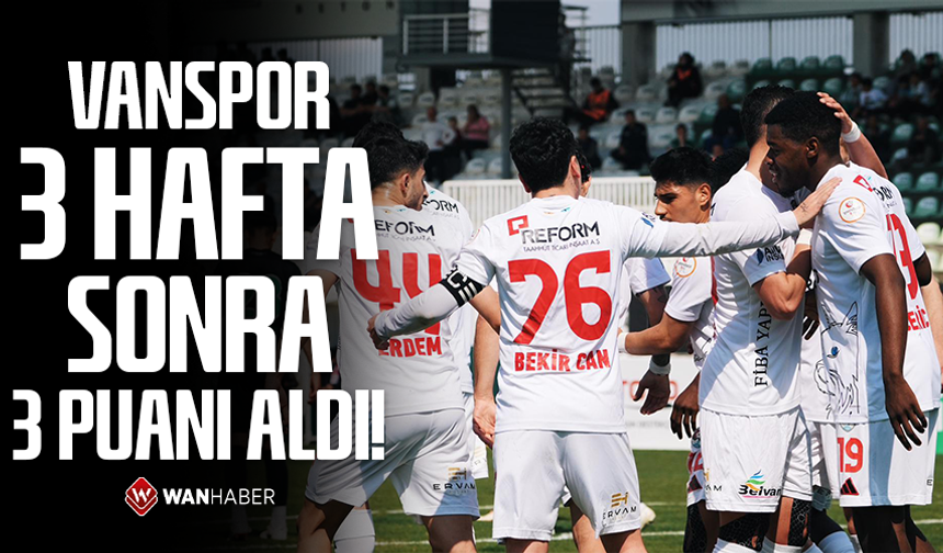 Vanspor deplasmanda gol olup yağdı!