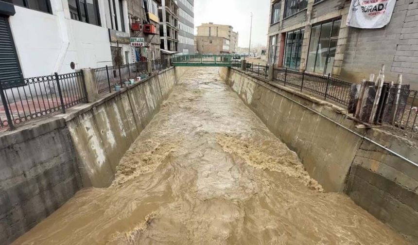 Yüksekova'da bereket taşkını