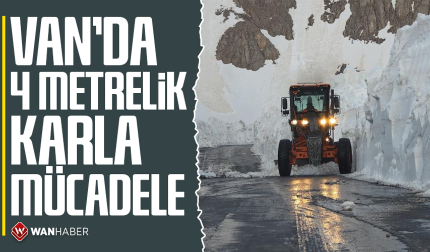 Van'da 4 metrelik karla mücadele