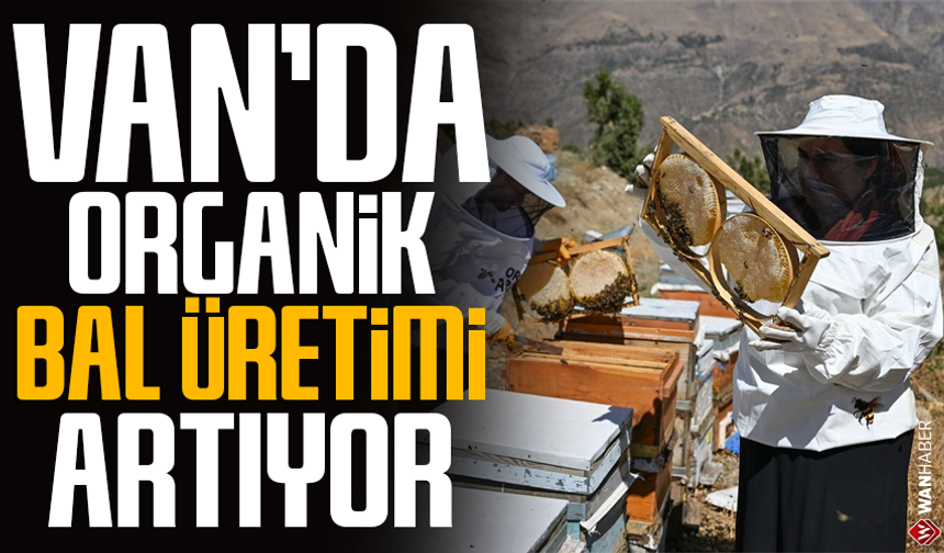 Van’da organik bal üretimi artıyor