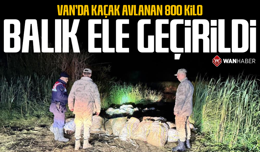 Van'da kacak inci kefali avlayan 7 kişi suçüstü yakalandı