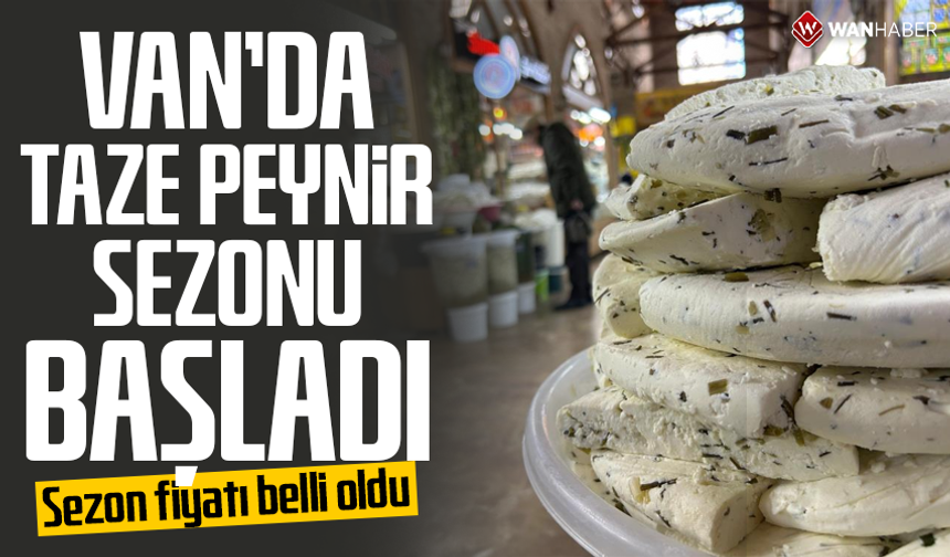 Van'da taze peynir sezonu başladı: Sezon fiyatı belli oldu!