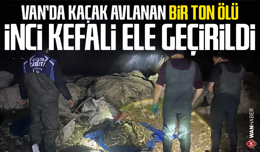 Van'da kaçak avlanan bir ton ölü inci kefali ele geçirildi