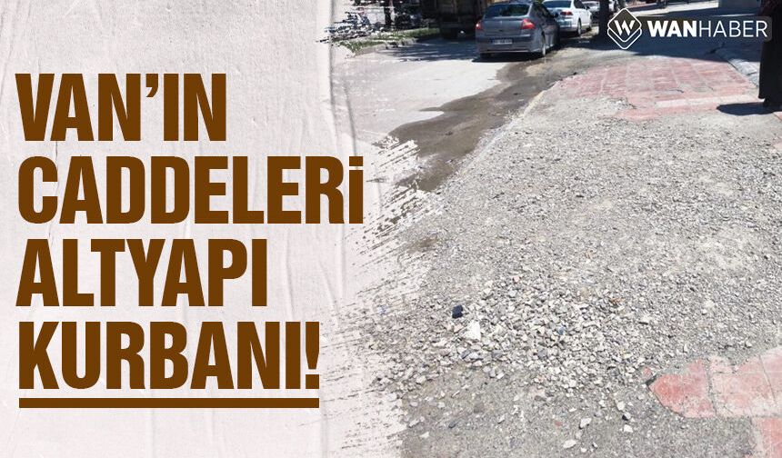 Van’ın asırlık çınarı İskele Caddesi köstebek yuvasına döndü!