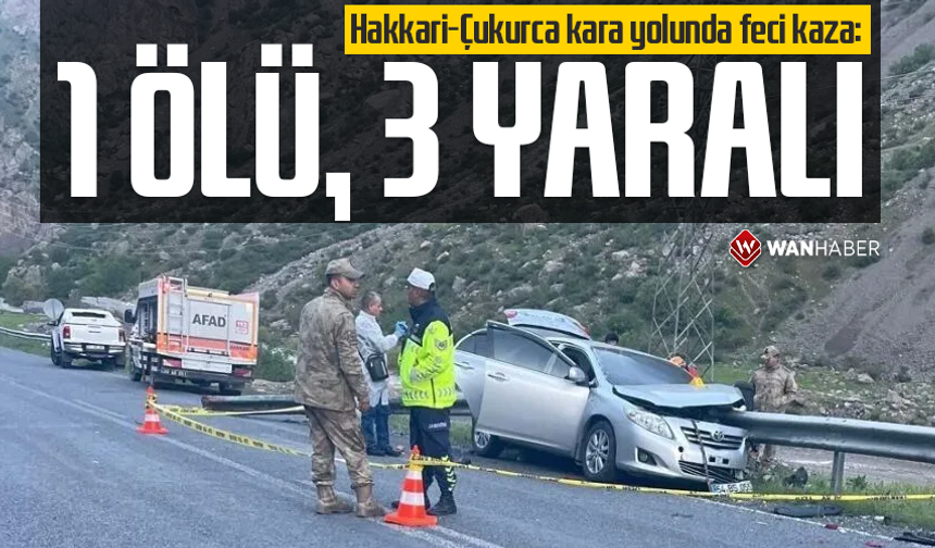 Hakkâri-Çukurca yolunda feci kaza: 1 Ölü 3 Yaralı