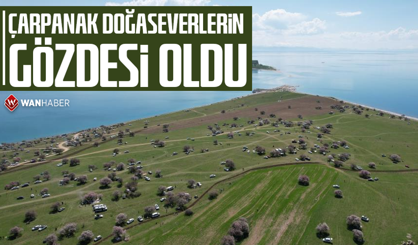 Çarpanak doğaseverlerin gözdesi oldu