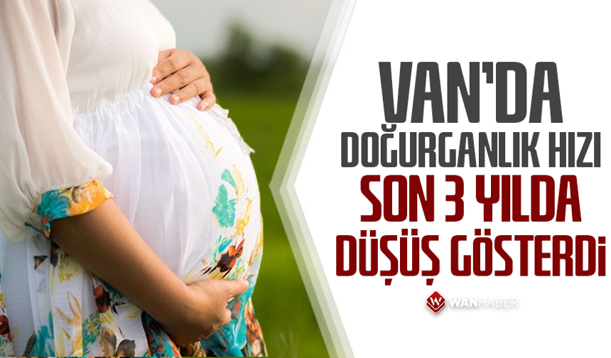 Van’da doğurganlık hızı son 3 yılda düşüş gösterdi