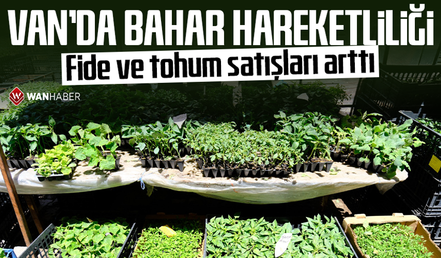 Van’da bahar hareketliliği: Fide ve tohum satışları arttı