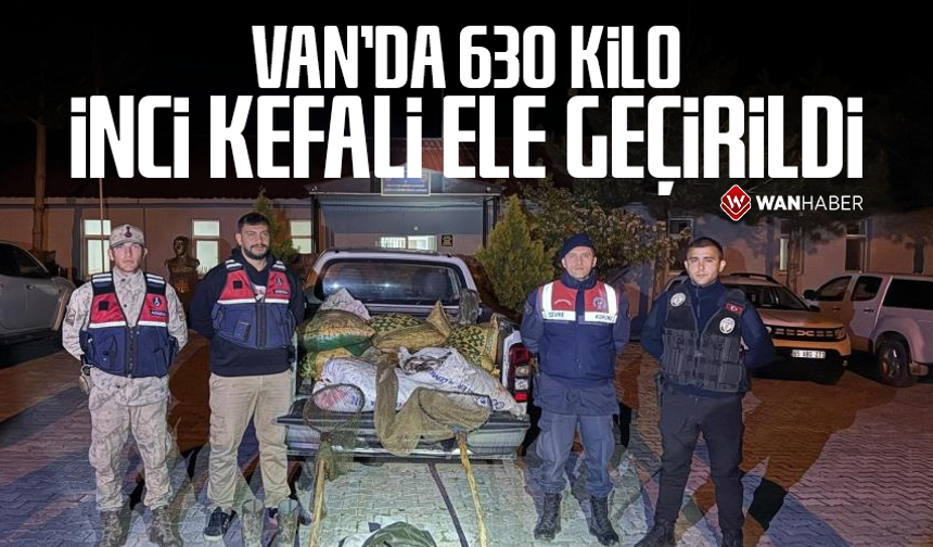 Van'da 630 kilo inci kefali ele geçirildi