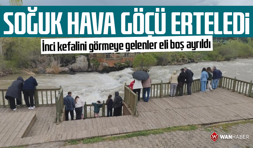 Soğuk hava göçü erteledi! İnci kefalini görmeye gelenler eli boş ayrıldı