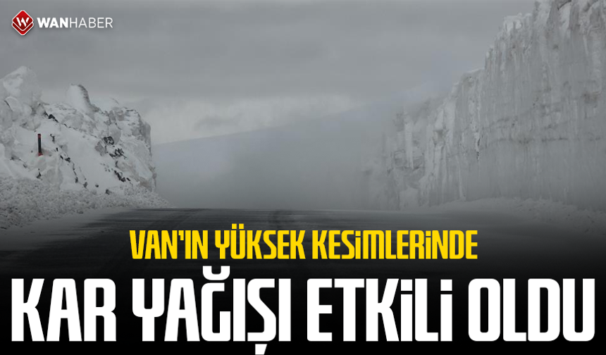 Van'ın yüksek kesimlerinde kar yağışı etkili oldu