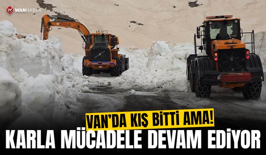 Van'da kış bitti, karla mücadele devam ediyor