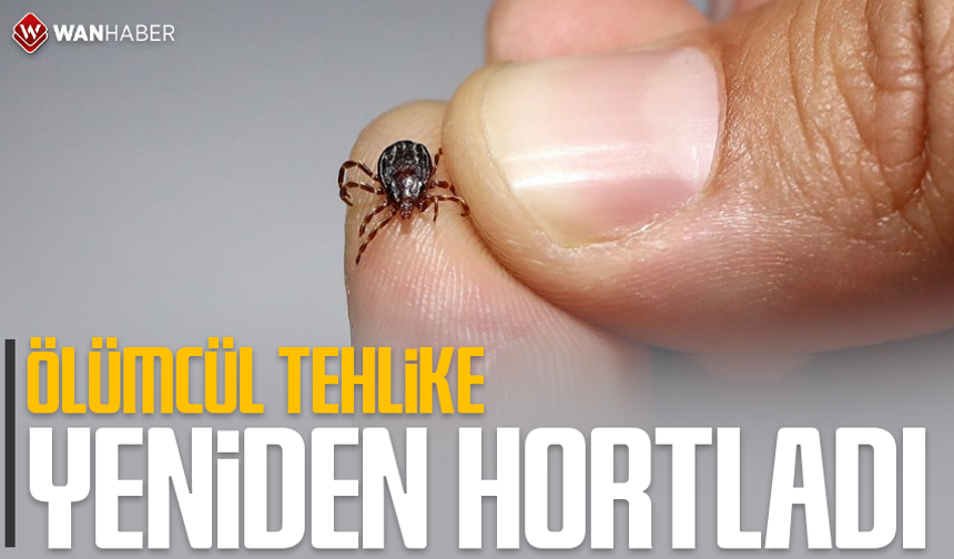 Kene popülasyonu arttı, uzmanlar tedbir çağrısı yaptı
