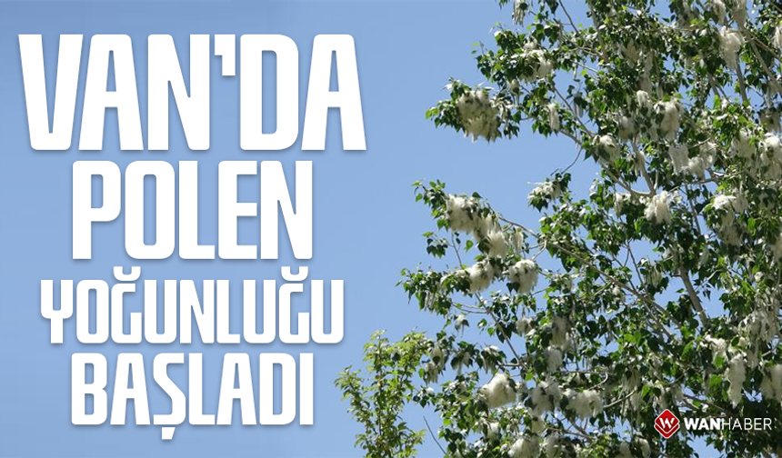 Van'da polen yoğunluğu başladı
