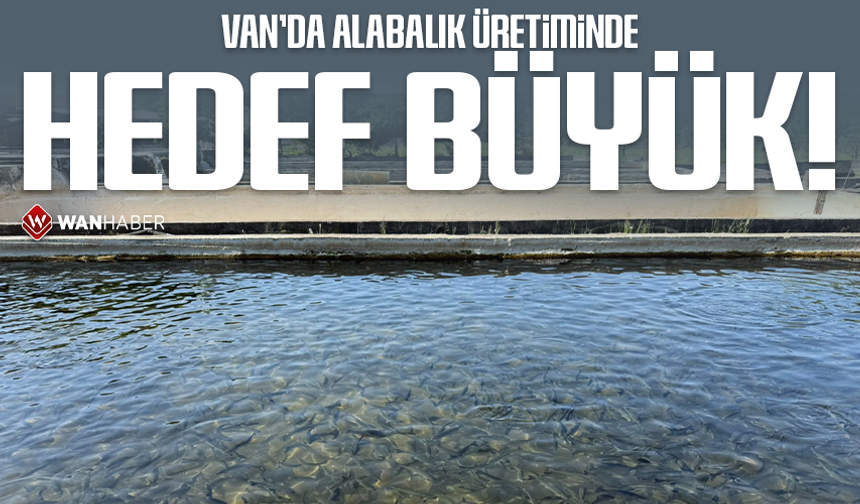 Van’da alabalık üretiminde hedef büyük!