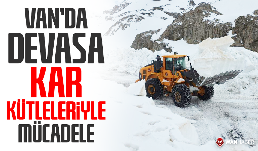 Van'da devasa kar kütleleriyle mücadele