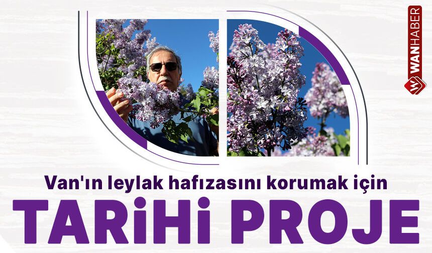 Van'ın leylak hafızasını korumak için tarihi proje başladı!