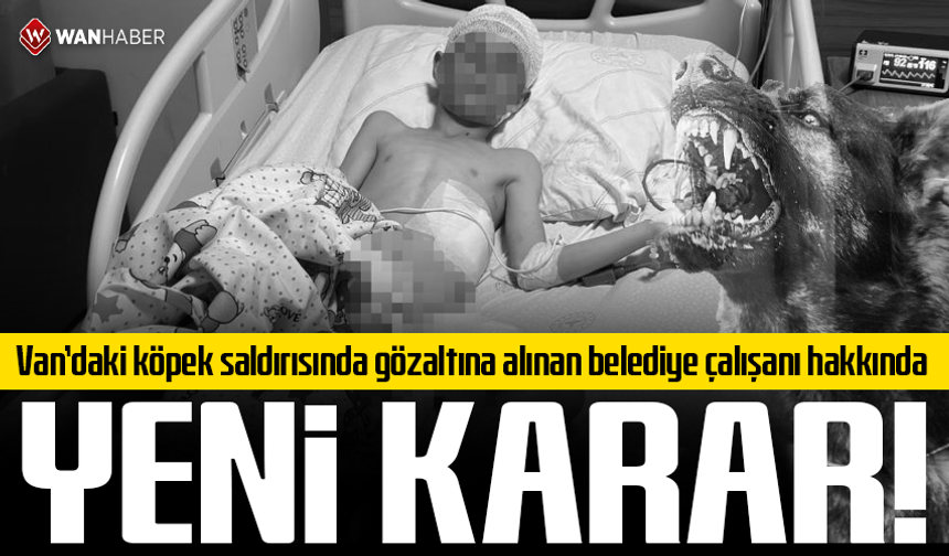 Van’daki köpek saldırısında gözaltına alınan belediye çalışanı hakkında karar!