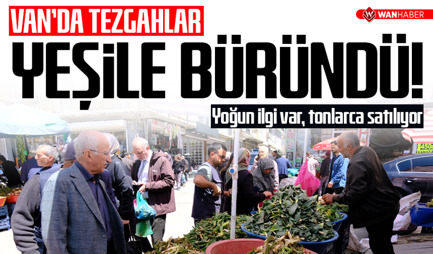 Van’da şifalı otlara büyük ilgi
