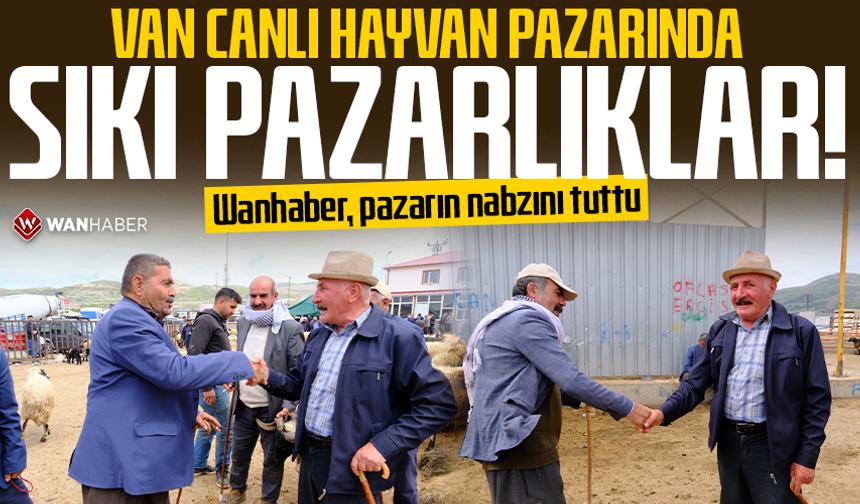 Van canlı hayvan pazarında sıkı pazarlıklar! Wanhaber, pazarın nabzını tuttu