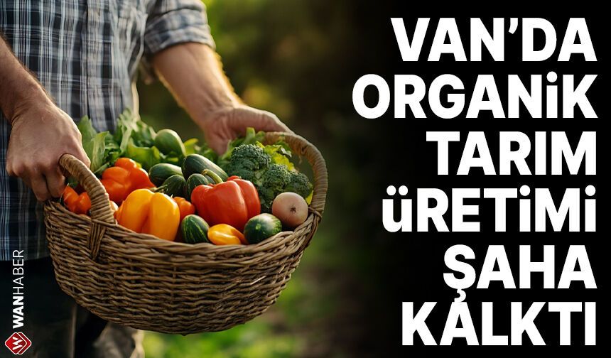 Bakanlık açıkladı: Van'da organik tarım üretimi şaha kalktı!