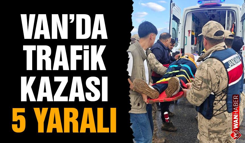 Çaldıran-Doğubayazıt yolunda kaza: Kamyonet şarampole yuvarlandı, 5 yaralı!