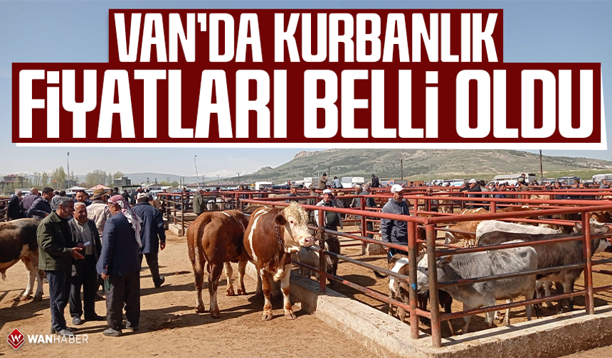 Van’da kurbanlık fiyatları belli oldu