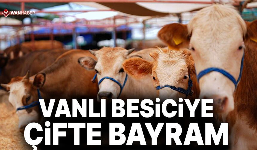 Vanlı Besiciye Çifte Bayram: Elde Kalan Kurbanlıkları Devlet Alacak!