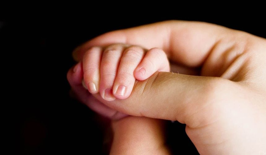 Van’da bebek ölüm hızı Türkiye ortalamasını aştı