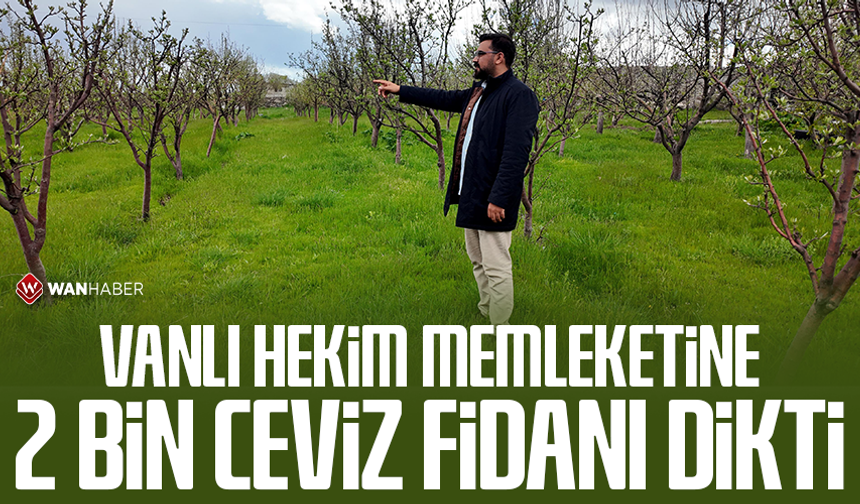 Vanlı hekim memleketine 2 bin ceviz fidanı dikti