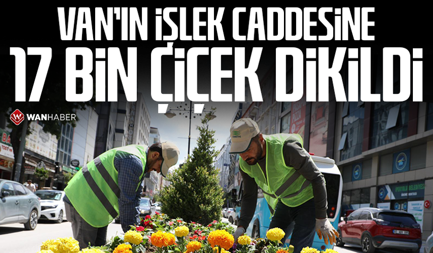 Van’ın işlek caddesine 17 bin çiçek dikildi