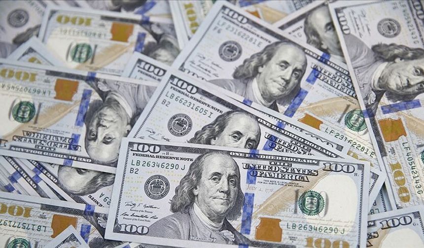 Dolar endeksi son 13 ayın zirvesinde