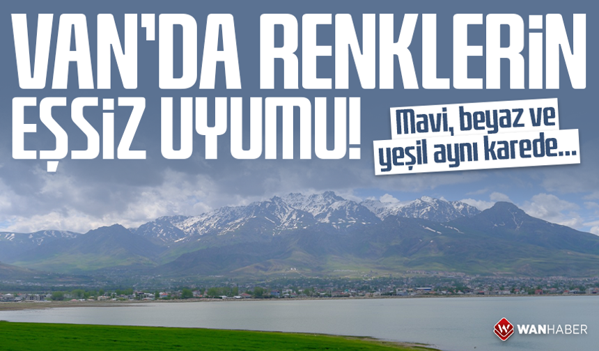 Van'da renklerin eşsiz uyumu! Mavi, beyaz ve yeşil aynı karede…