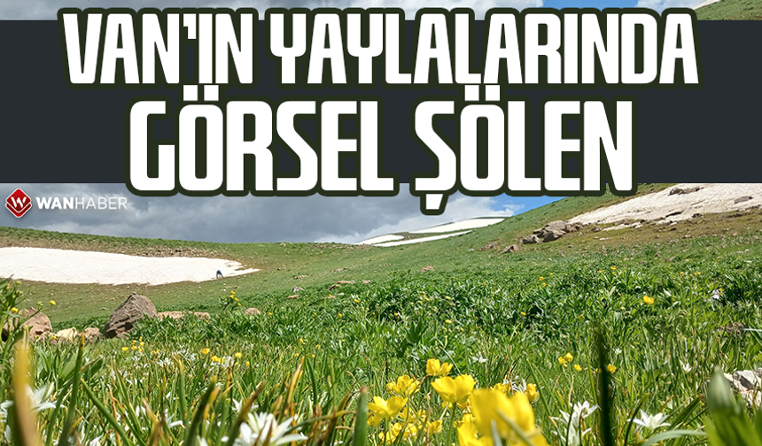 Van’ın yaylalarında görsel şölen
