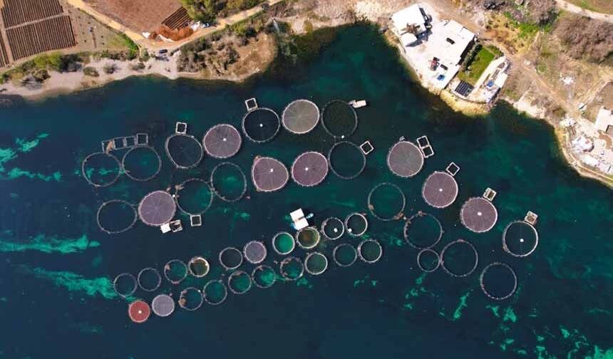 Bakan Yumaklı hibe ödemelerini açıkladı