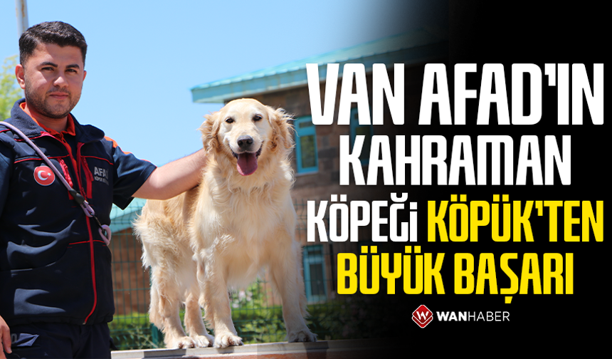 Van AFAD'ın kahraman köpeği köpük’ten büyük başarı