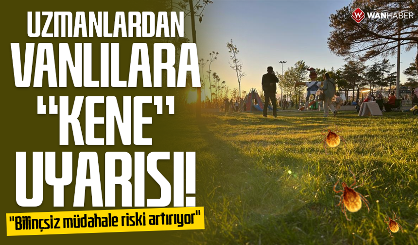 Uzmanlardan Vanlılara kene uyarısı: "Bilinçsiz müdahale riski artırıyor"