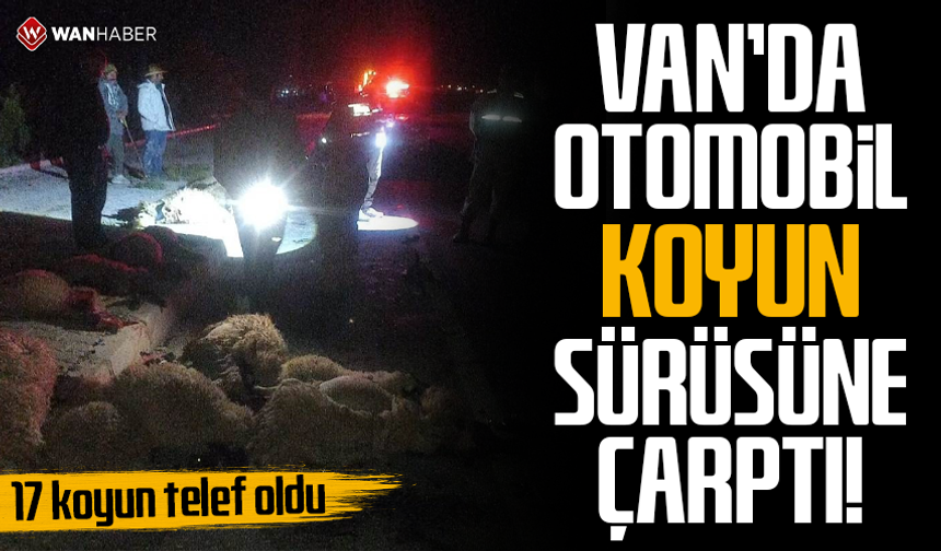 Van'da otomobil koyun sürüsüne çarptı
