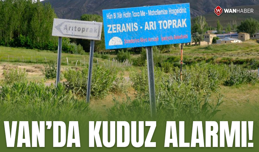 Van'da kuduz alarmı! Mahalle karantinaya alındı