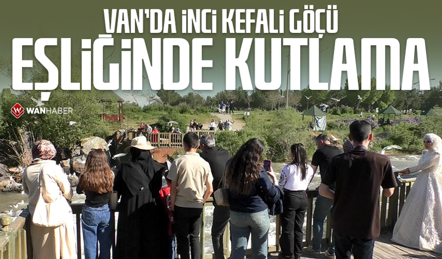Van'da İnci Kefali göçü eşliğinde kutlama