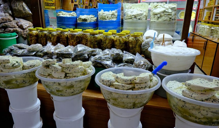 Van’da koyun peyniri sezonunda yoğunluk başladı