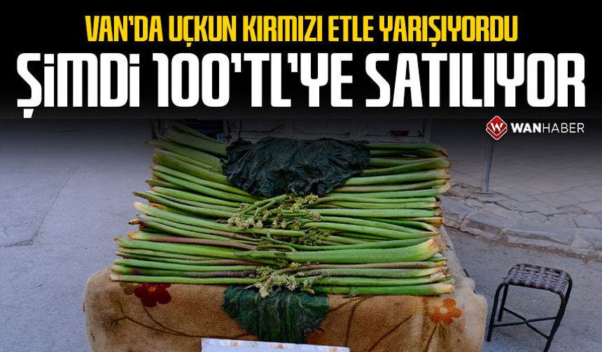 Van’da ‘Uçkun’ kırmızı etle yarışıyordu, şimdi 100 TL’ye satılıyor