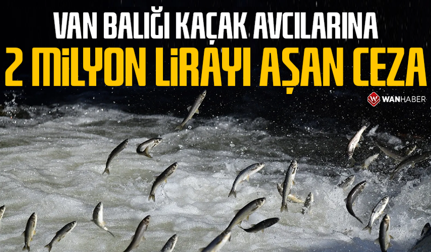 Van Balığı kaçak avcılarına 2 milyon lirayı aşan ceza