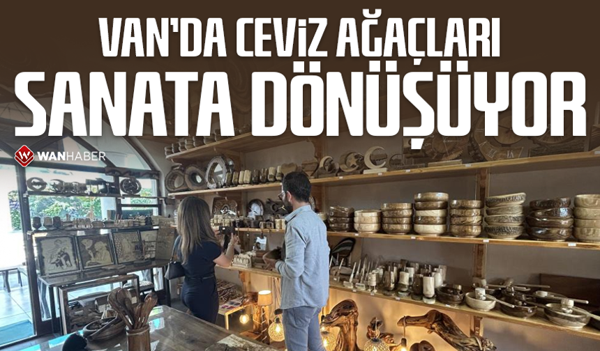 Van'da ceviz ağaçları sanata dönüşüyor