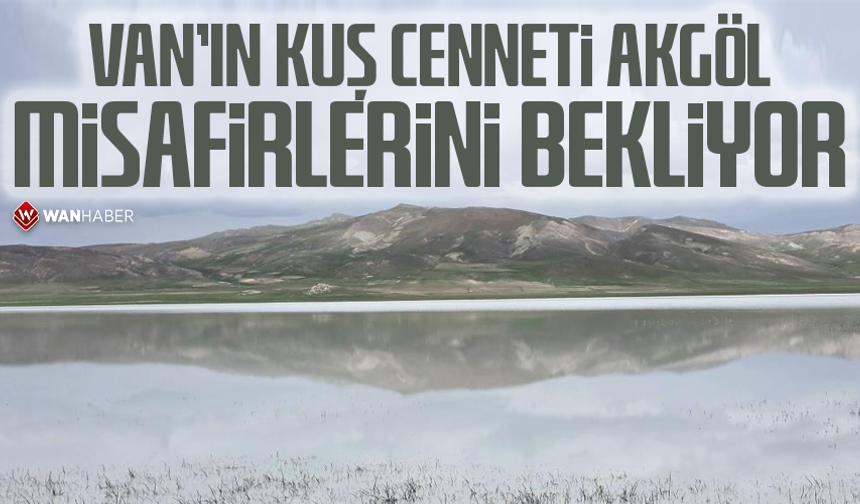 Van'ın kuş cenneti Akgöl misafirlerini bekliyor