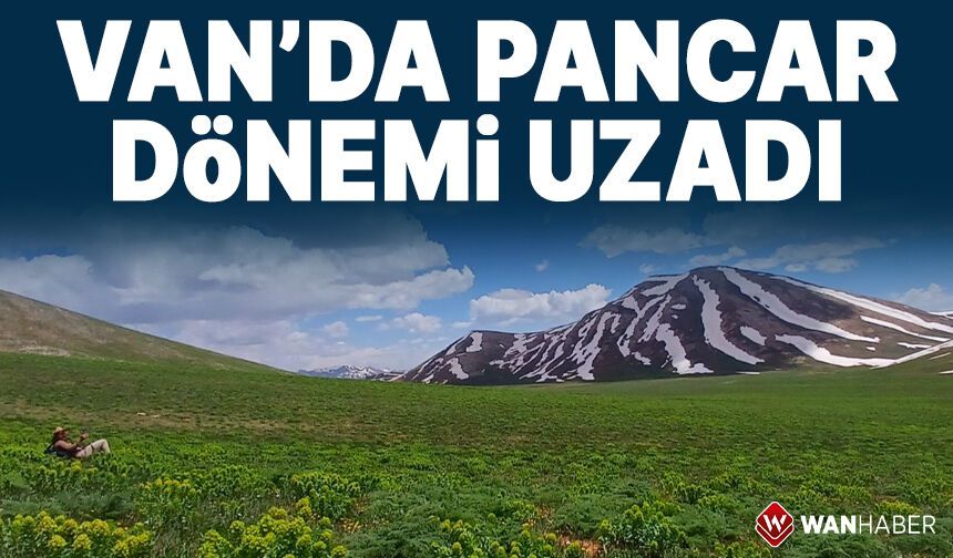 Van’da ‘Pancar’ mesaisi sürüyor