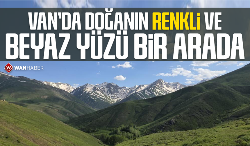Van'da doğanın renkli ve beyaz yüzü bir arada