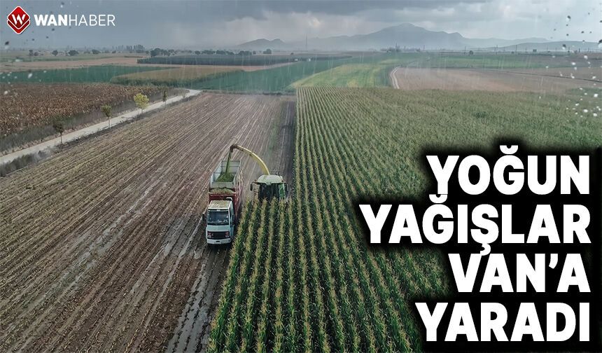 Van'a müjdeli haber geldi! Yağışlar tarımda rahatlama sağlayacak