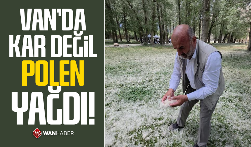 Van'da kar değil polen yağdı!